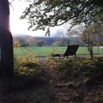 Am Buchenhain *