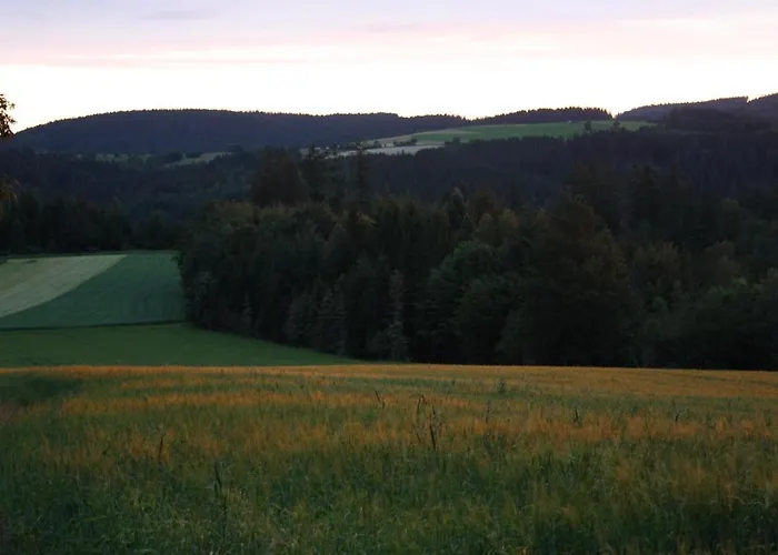 Am Buchenhain *